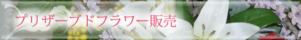 プリザーブドフラワー販売